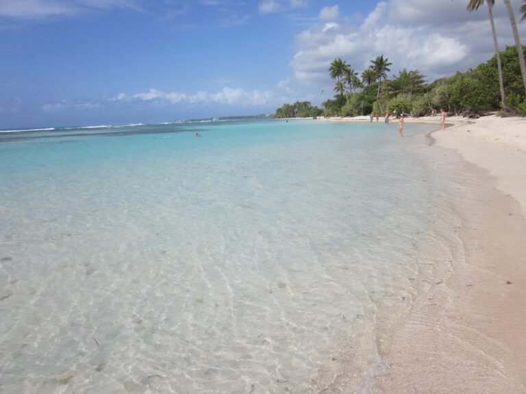 budget voyage martinique