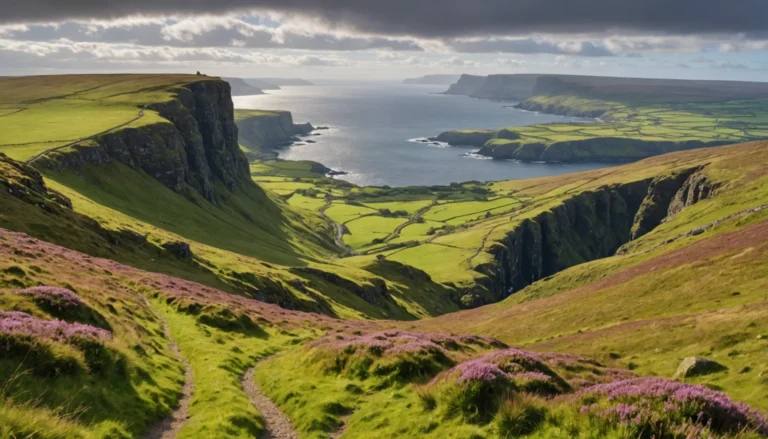 paysage irlande du nord